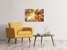 Load image into Gallery viewer, Canvas print Enlightened Autumn Trees
