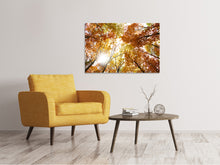 Load image into Gallery viewer, Canvas print Enlightened Autumn Trees
