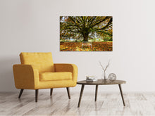 Load image into Gallery viewer, Canvas print My Favorite Tree
