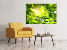 Load image into Gallery viewer, Canvas print Go Green
