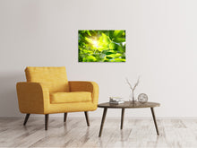 Load image into Gallery viewer, Canvas print Go Green

