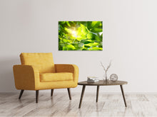 Load image into Gallery viewer, Canvas print Go Green
