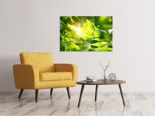 Load image into Gallery viewer, Canvas print Go Green
