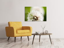 Load image into Gallery viewer, Canvas print Blowball Dandelion
