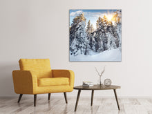 Load image into Gallery viewer, Canvas print Fir In Snow
