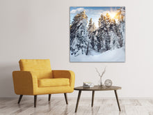 Load image into Gallery viewer, Canvas print Fir In Snow
