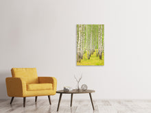 Load image into Gallery viewer, Canvas print The Birch Forest In Late Summer

