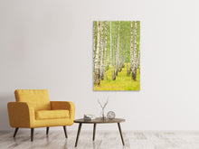 Load image into Gallery viewer, Canvas print The Birch Forest In Late Summer
