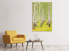 Load image into Gallery viewer, Canvas print The Birch Forest In Late Summer
