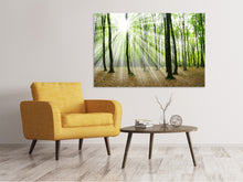 Load image into Gallery viewer, Canvas print Magic Light In The Trees
