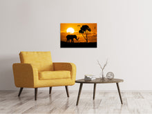 Load image into Gallery viewer, Canvas print Dreamy Africa
