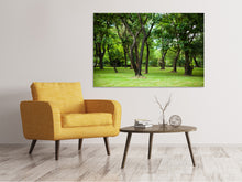 Load image into Gallery viewer, Canvas print Cherry Garden
