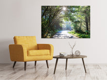 Load image into Gallery viewer, Canvas print Sunny Forest Path
