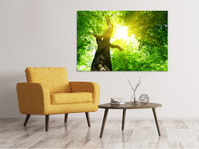 Load image into Gallery viewer, Canvas print Tree
