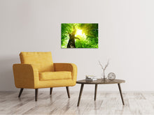 Load image into Gallery viewer, Canvas print Tree
