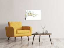 Load image into Gallery viewer, Canvas print White Orchids
