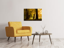 Load image into Gallery viewer, Canvas print Autumn Leaves
