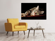 Load image into Gallery viewer, Canvas print Relaxed Cat

