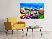 Load image into Gallery viewer, Canvas print Fish Aquarium

