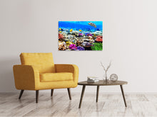 Load image into Gallery viewer, Canvas print Fish Aquarium
