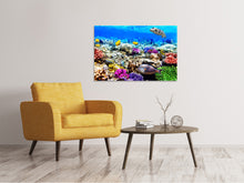 Load image into Gallery viewer, Canvas print Fish Aquarium
