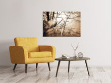 Load image into Gallery viewer, Canvas print Branches In Fog Light
