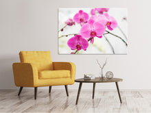 Load image into Gallery viewer, Canvas print The Symbol Of Orchid
