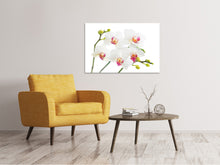 Load image into Gallery viewer, Canvas print Orchids Love
