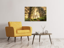 Load image into Gallery viewer, Canvas print Sunset In Jungle
