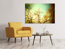 Load image into Gallery viewer, Canvas print Autumn Trees
