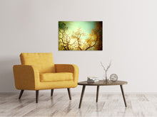 Load image into Gallery viewer, Canvas print Autumn Trees
