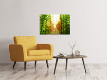 Load image into Gallery viewer, Canvas print Suspension Bridge
