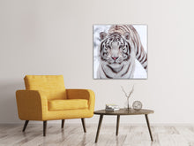 Load image into Gallery viewer, Canvas print The King Tiger
