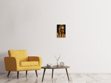 Load image into Gallery viewer, Canvas print Gold-Face
