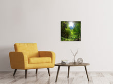 Load image into Gallery viewer, Canvas print Clearing In The Jungle
