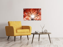 Load image into Gallery viewer, Canvas print Light Of Autumn
