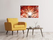 Load image into Gallery viewer, Canvas print Light Of Autumn
