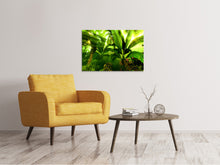 Load image into Gallery viewer, Canvas print Sunrise In The Rainforest
