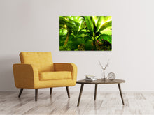 Load image into Gallery viewer, Canvas print Sunrise In The Rainforest
