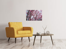 Load image into Gallery viewer, Canvas print Japanese Cherry Blossom
