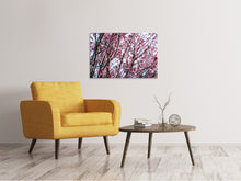 Load image into Gallery viewer, Canvas print Japanese Cherry Blossom
