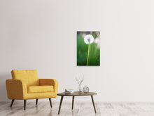 Load image into Gallery viewer, Canvas print Dandelion
