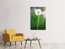 Load image into Gallery viewer, Canvas print Dandelion
