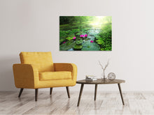 Load image into Gallery viewer, Canvas print Garden Pond
