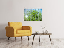 Load image into Gallery viewer, Canvas print Behind The Waterfall
