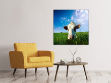 Load image into Gallery viewer, Canvas print The Cow
