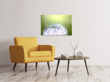 Load image into Gallery viewer, Canvas print Dandelion XL In Morning Dew
