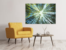 Load image into Gallery viewer, Canvas print Pine Forest
