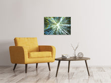 Load image into Gallery viewer, Canvas print Pine Forest
