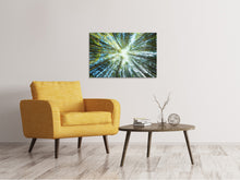 Load image into Gallery viewer, Canvas print Pine Forest
